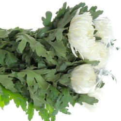 Chrys.Deko weiss Gross 145 Gramm
