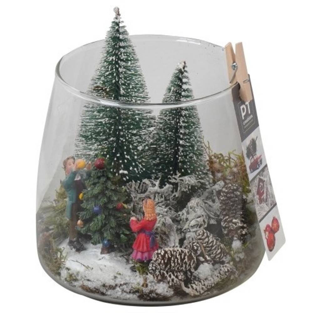 Plagiothec.Arr PTCV7611 Weihnachten T12 H018