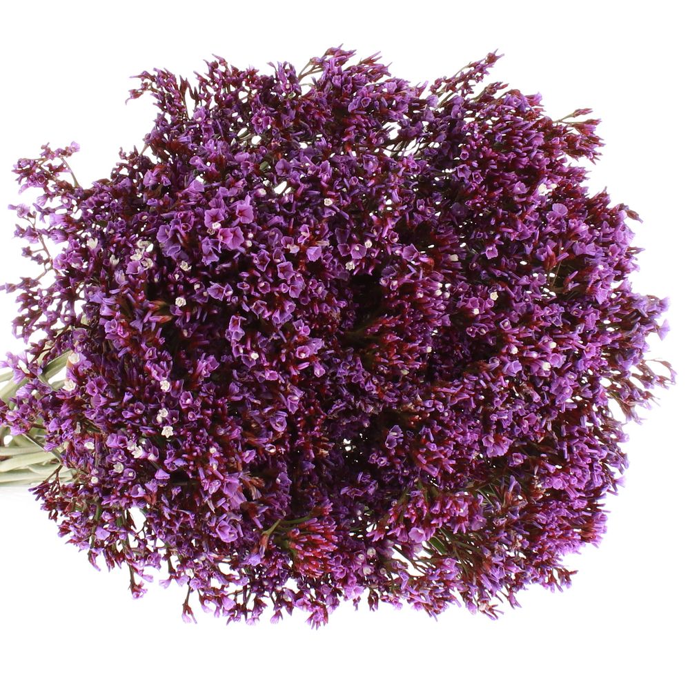 Statice lila Perezie 60cm
