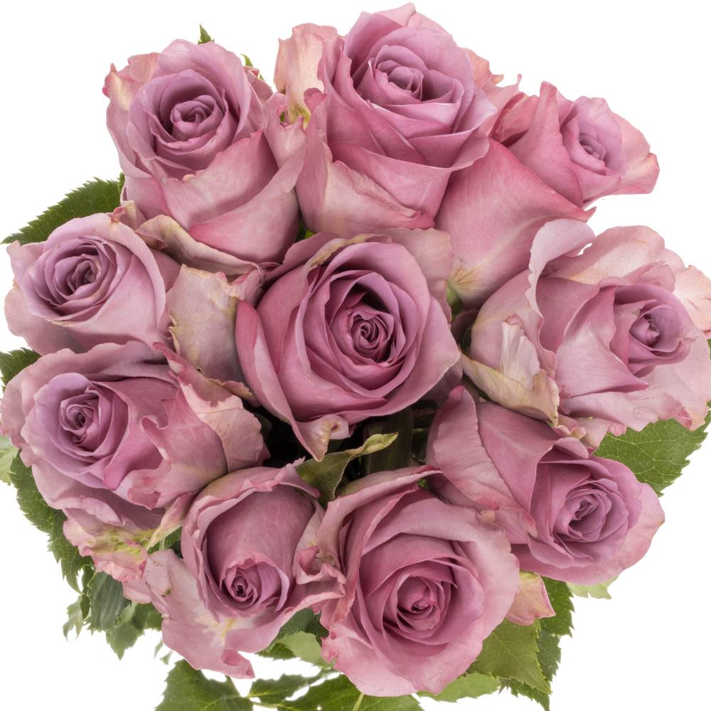 Rose lila Nightingale Muttertag 50cm
