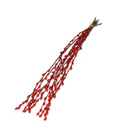 Trocken Zweig Weidenkätzchen rot L70cm