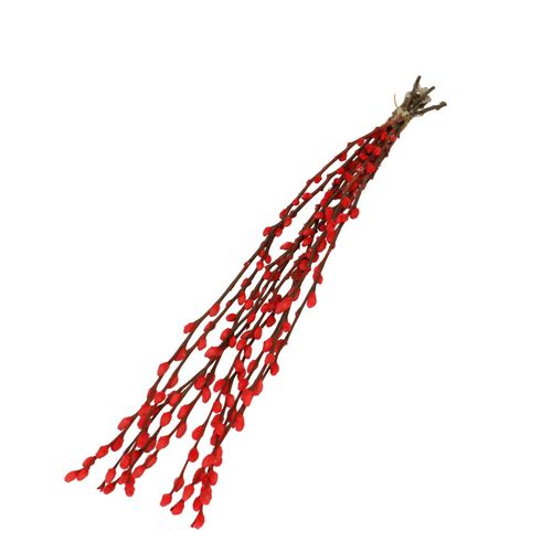 Trocken Zweig Weidenkätzchen rot L70cm
