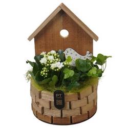 Kal.Arr PTIB5262 T16 H026