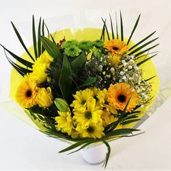 Strauß Deluxe gelb 40cm 18Stiele