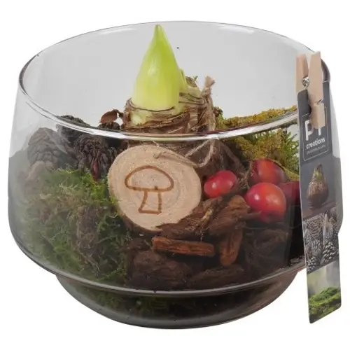 Amaryl.Arr PTAA7574 rote Bl. T17 H018