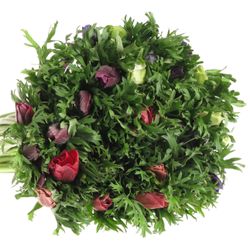 Anemone mix Import 45cm x 50