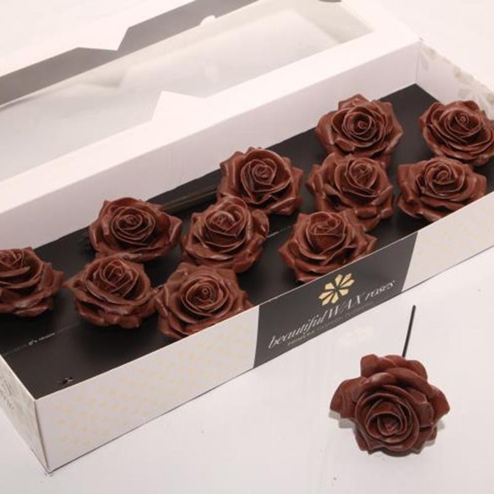 Seiden Wachs Rose Choco braun D10cm (9286)