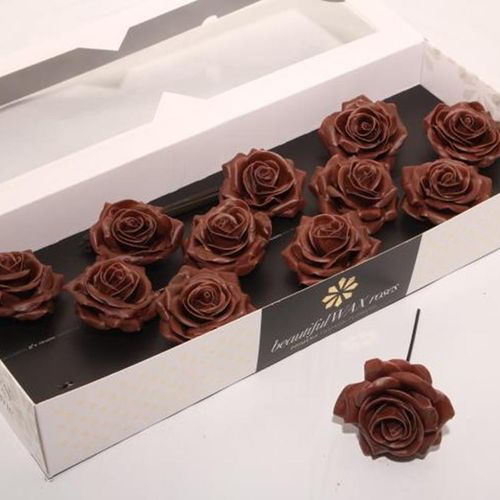 Seiden Wachs Rose Choco braun D10cm (9286)