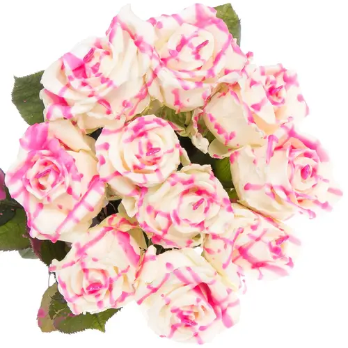 Rose wachs weiss/rosa Choco Roseberry Love 70cm duften