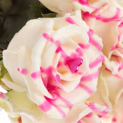 Rose wachs weiss/rosa Choco Roseberry Love 70cm duften