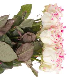 Rose wachs weiss/rosa Choco Roseberry Love 70cm duften