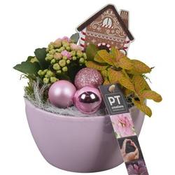 Kal.Arr PTCHP3504 Weihnachten T14 H020