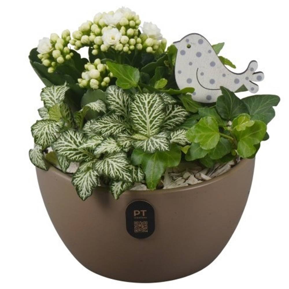 Kal.Arr PTIB5160 T15 H018