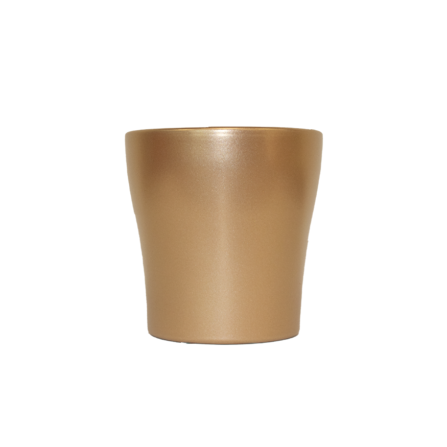 Phal.2-R mix im Hanna Topf Gold T12 H055