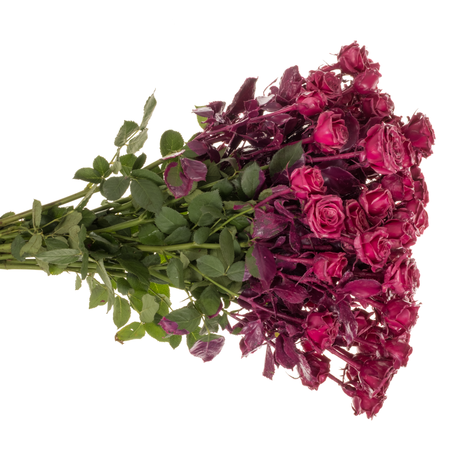 Rose verzweigt fuchsia Wachs 60cm