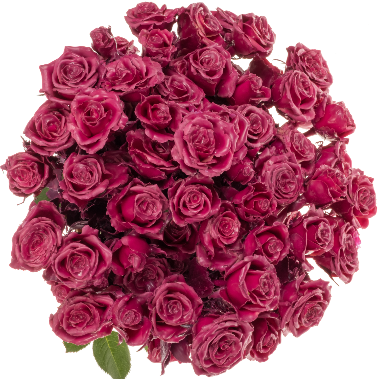 Rose verzweigt fuchsia Wachs 60cm