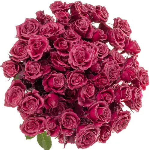 Rose verzweigt fuchsia Wachs 60cm