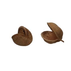 Trocken Buddha Nuss braun x5