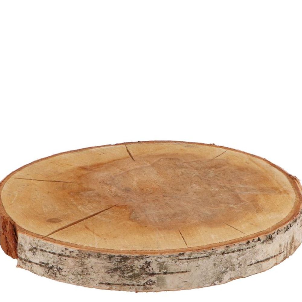 Trocken Birke Scheibe D18/23cm H03cm
