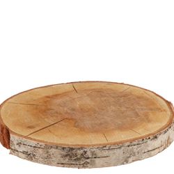 Trocken Birke Scheibe D18/23cm H03cm