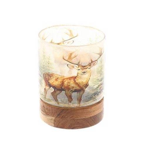 Glas Teelicht Renee D10cm H13cm