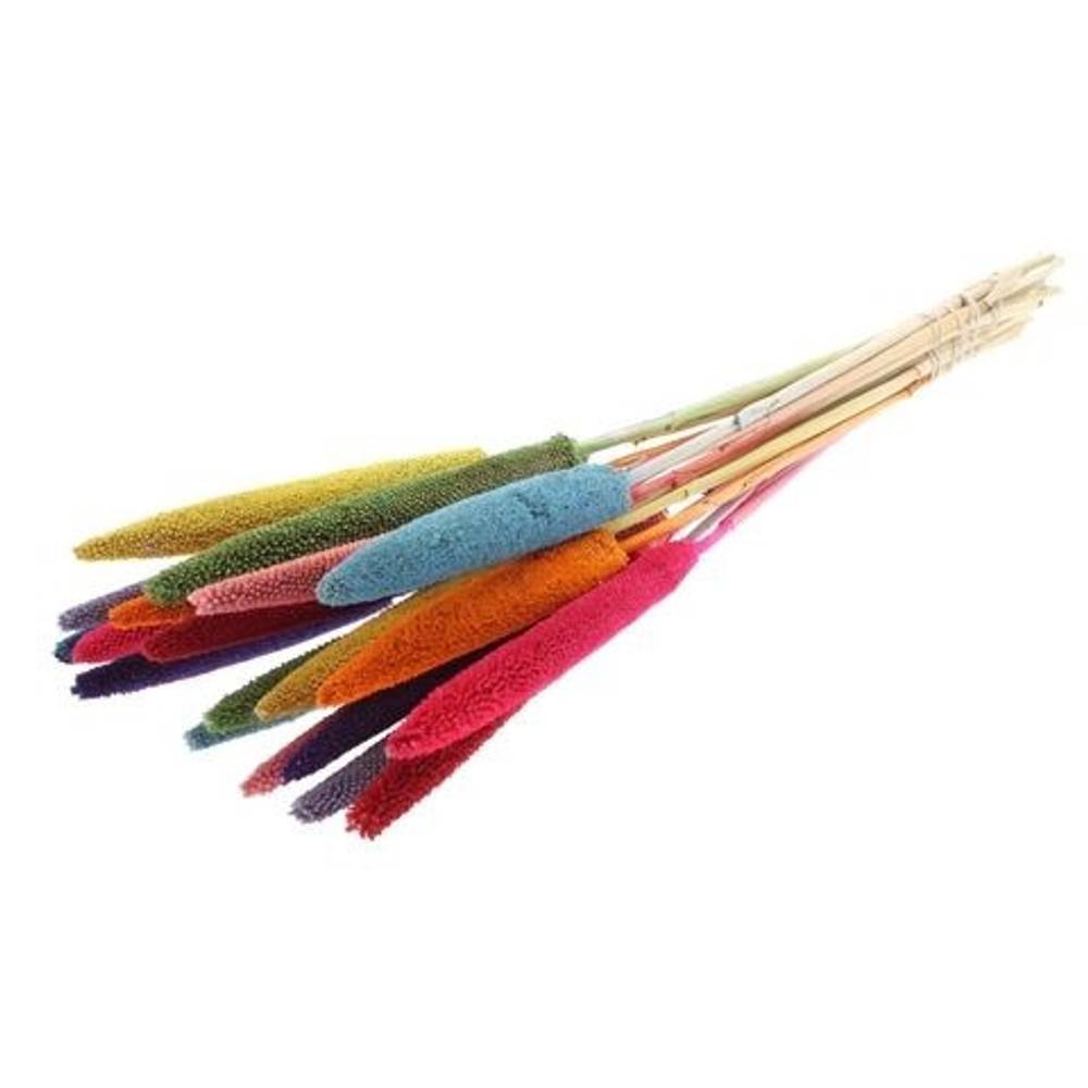 Trocken Babala mix L70cm x15