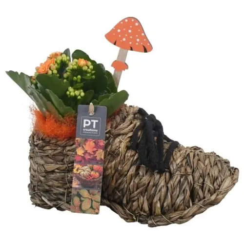 Kal.Arr PTHI5400 Herbst T25 H023