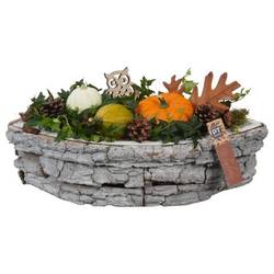 Garten.Arr PTSF8239 Zierobst T33 H023