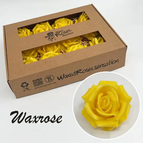 Seiden Wachs Rose gelb