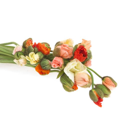 Klatschmohn mix Ex 55cm