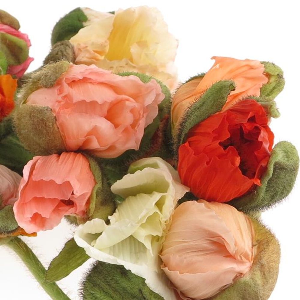 Klatschmohn mix Ex 55cm