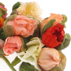 Klatschmohn mix Ex 55cm