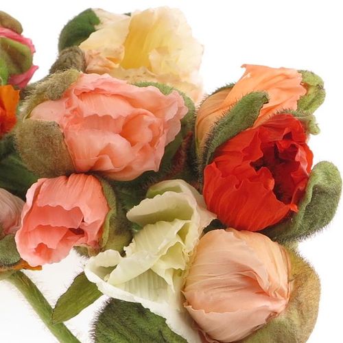 Klatschmohn mix Ex 55cm