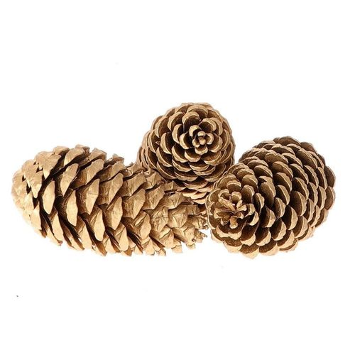 Zapfen Maritima gold 12cm 3st