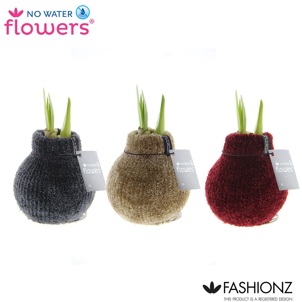 Amar.Bol Wachs Fash. Cozy Teddy rote Bl. H15