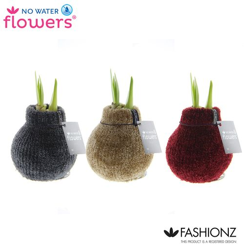 Amar.Bol Wachs Fash. Cozy Teddy rote Bl. H15