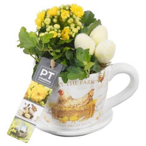 Ostern Arr PTPB3833 T11 H018