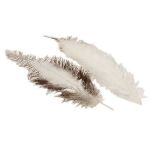 Straussenfedern weiss/braun L55cm x5
