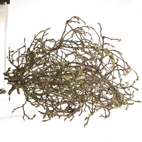 Magnolia rosa Zweigen 140cm