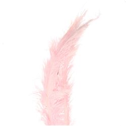Straussenfedern rosa L55cm x5