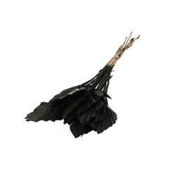 Trocken Palm Spear schwarz L50cm x10