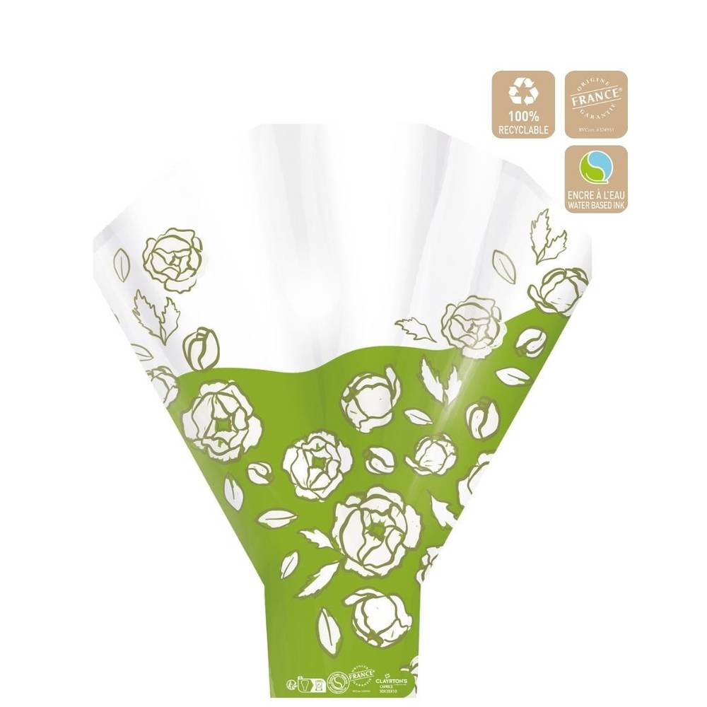 Tüte Caprice grün 50x44x12cm x50 