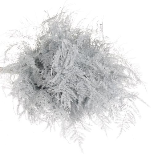 Plumoses weiss gefärbt 40cm