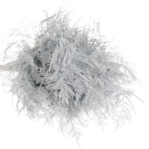 Plumoses weiss gefärbt 40cm