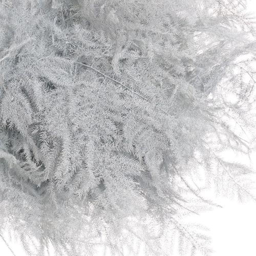 Plumoses weiss gefärbt 40cm