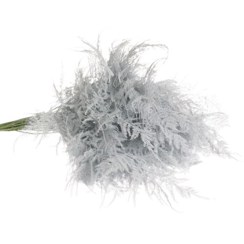 Plumoses weiss gefärbt 40cm