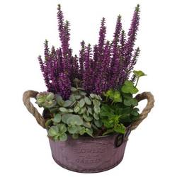 Garten.Arr PTHO7599 Herbst T16 H026