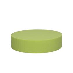 Farbe Cake lime 20x5cm Oasis®