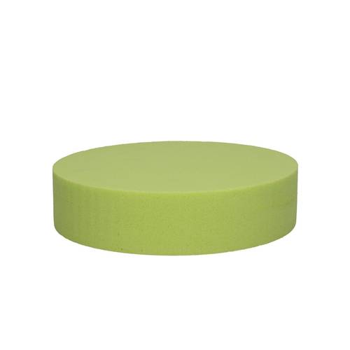 Farbe Cake lime 20x5cm Oasis®