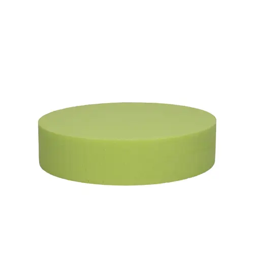 Farbe Cake lime 20x5cm Oasis®